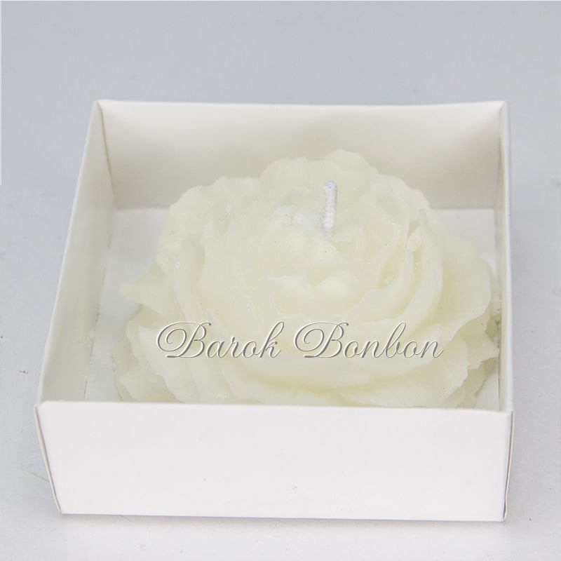 ŞAKAYIK MUM KREM 20 ADET