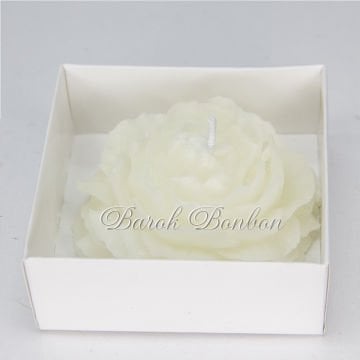 ŞAKAYIK MUM KREM 20 ADET