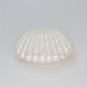 PLASTİK SEDEF İSTİRİDYE 30 AD.