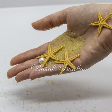 YAPAY DENİZ YILDIZI BÜYÜK BOY 100 ADET