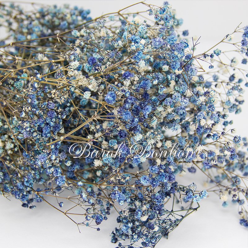 ÇİÇEK DOĞAL CİPSO NATUREL LACİVERT