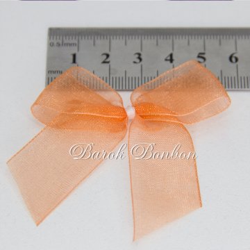 2 CM ORGANZE FİYONK TURUNCU