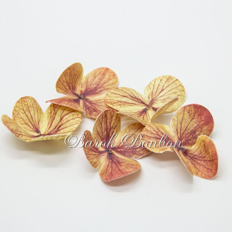 ISLAK MENEKŞE K.SOMON 50 ADET