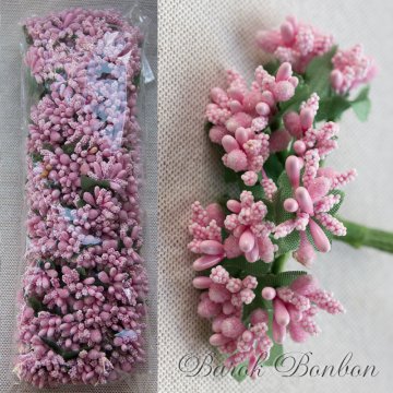 PITIRCIK ÇİÇEK 144 AD.