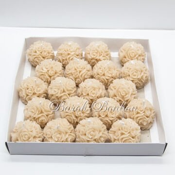 TOP GÜL MUM KAPİÇİNO PK.20