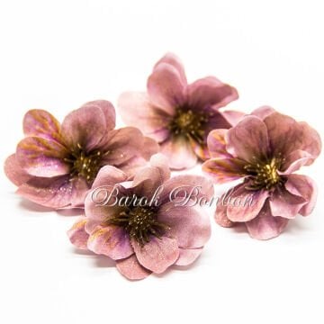 KİRAZ ÇİÇEĞİ PUDRA SİMLİ 25 ADET