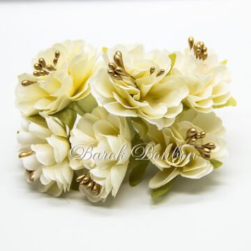 KUMAŞ KREM ÇİÇEK TOHUMLU PK.60