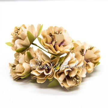 KUMAŞ KAPİÇİNO ÇİÇEK TOHUMLU PK.60