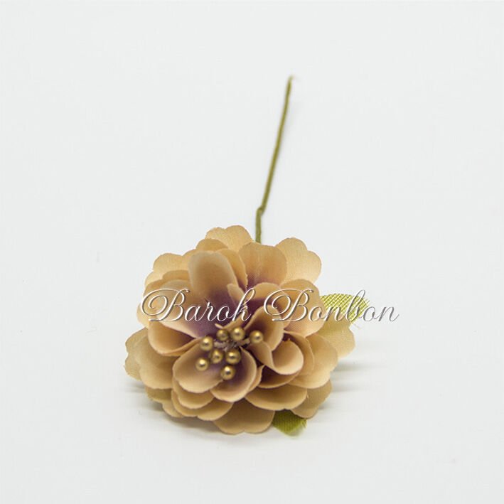 KUMAŞ KAPİÇİNO ÇİÇEK TOHUMLU PK.60