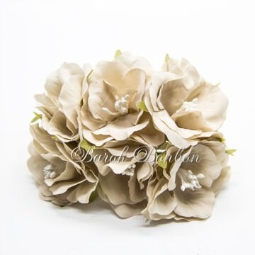 KUMAŞ KAPİÇİNO TOHUMLU ÇİÇEK  PK.60