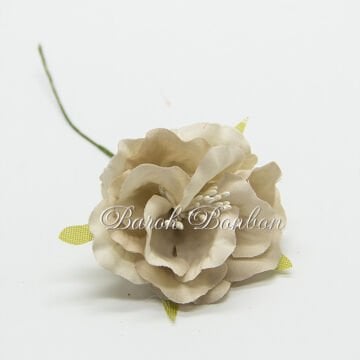 KUMAŞ KAPİÇİNO TOHUMLU ÇİÇEK  PK.60