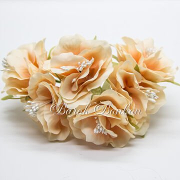 KUMAŞ SOMON TOHUMLU ÇİÇEK  PK.60