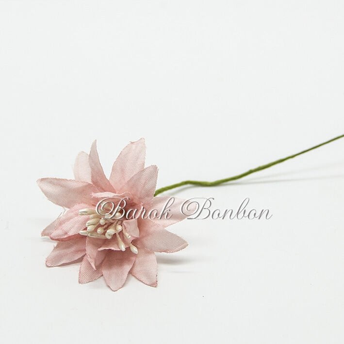 KUMAŞ YILDIZ PUDRA TOHUMLU ÇİÇEK  PK.60