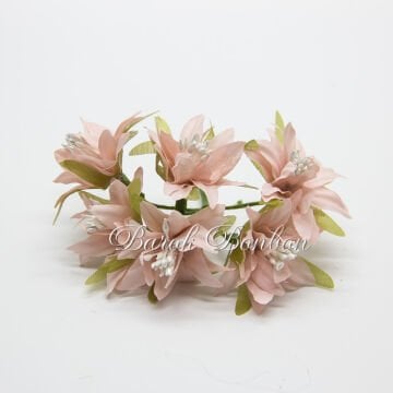 KUMAŞ YILDIZ PUDRA TOHUMLU ÇİÇEK  PK.60