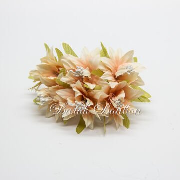 KUMAŞ YILDIZ SOMON TOHUMLU ÇİÇEK  PK.60