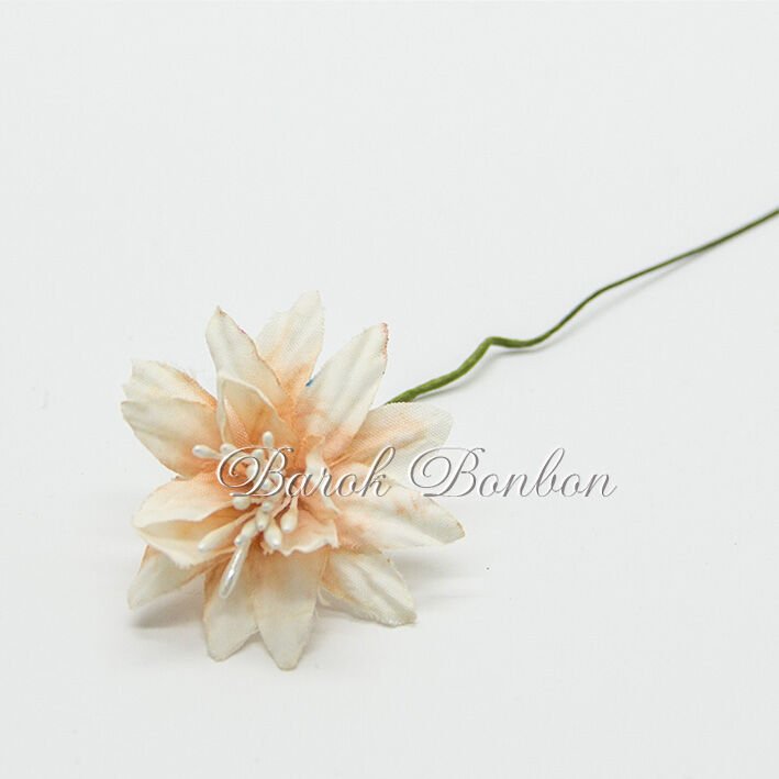 KUMAŞ YILDIZ SOMON TOHUMLU ÇİÇEK  PK.60