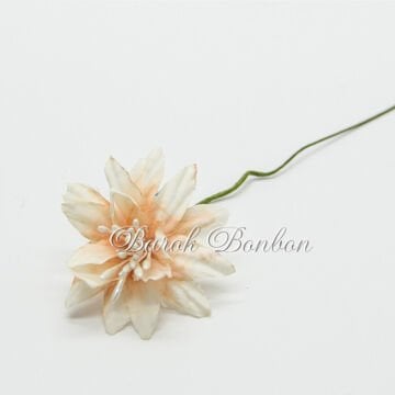 KUMAŞ YILDIZ SOMON TOHUMLU ÇİÇEK  PK.60