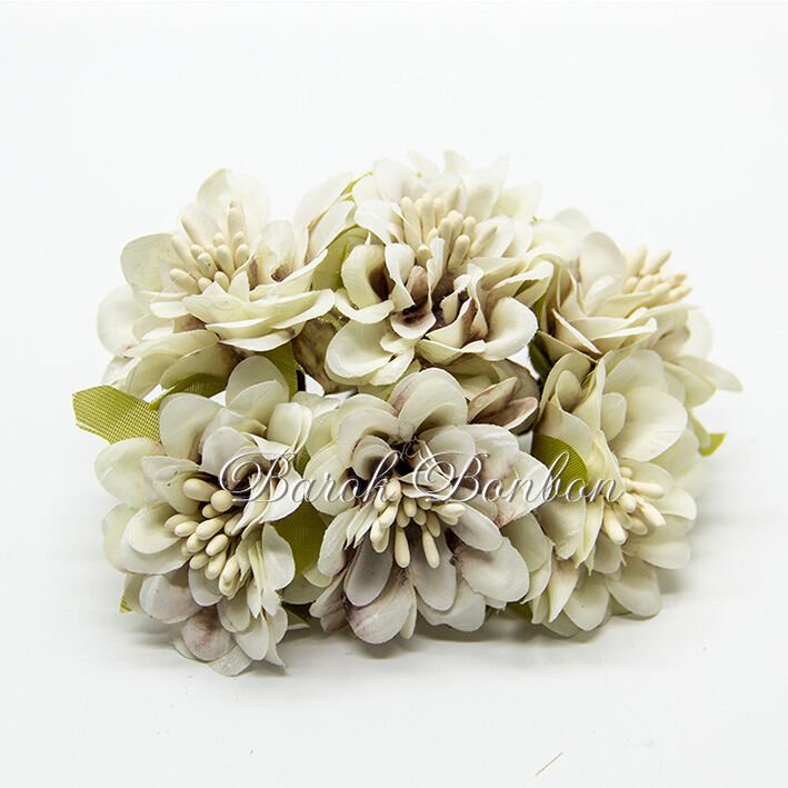 KUMAŞ KAPİÇİNO ÇİÇEK TOHUMLU PK.48