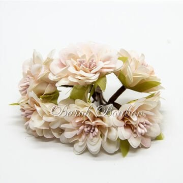 KUMAŞ SOMON ÇİÇEK TOHUMLU PK.48