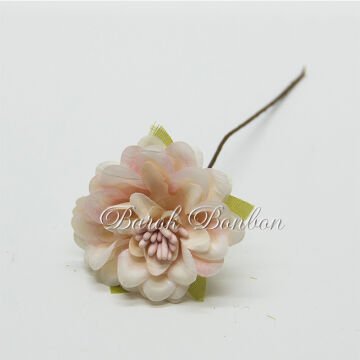 KUMAŞ SOMON ÇİÇEK TOHUMLU PK.48