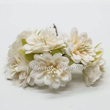 KUMAŞ KREM ÇİÇEK TOHUMLU PK.48