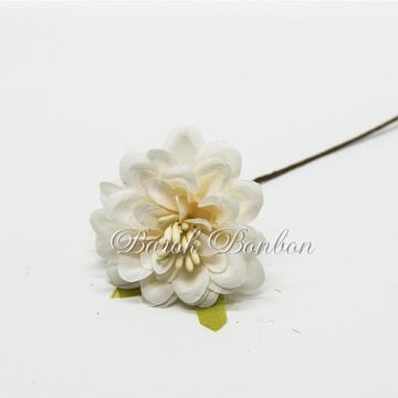 KUMAŞ KREM ÇİÇEK TOHUMLU PK.48