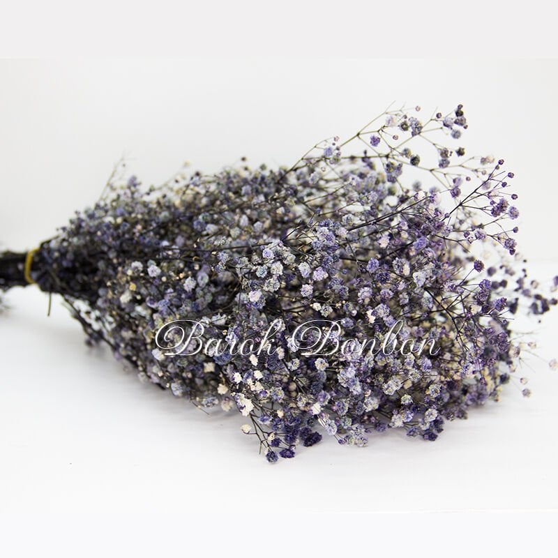 ÇİÇEK DOĞAL CİPSO MOR