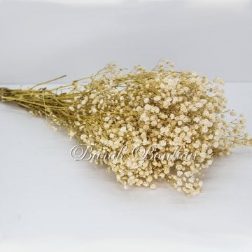 ÇİÇEK DOĞAL CİPSO NATUREL