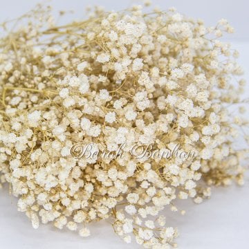 ÇİÇEK DOĞAL CİPSO NATUREL