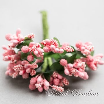 PITIRCIK ÇİÇEK 144 AD.