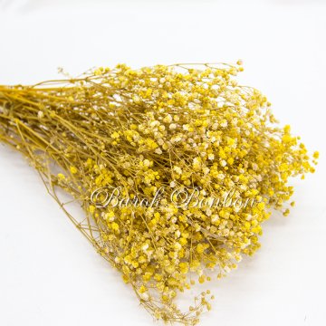 ÇİÇEK DOĞAL CİPSO SARI
