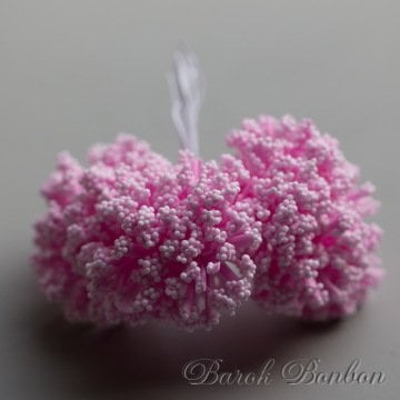 PEMBE KARTOPU ÇİÇEK
